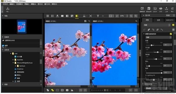 NX Studio下载,图片处理软件,图像处理,照片编辑,照片处理