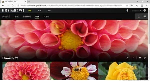 NX Studio下载,图片处理软件,图像处理,照片编辑,照片处理